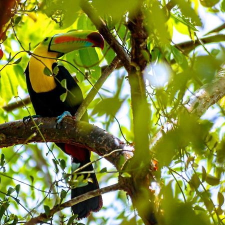 Ecolodge El Sombrero Laguna Yaxha Εξωτερικό φωτογραφία